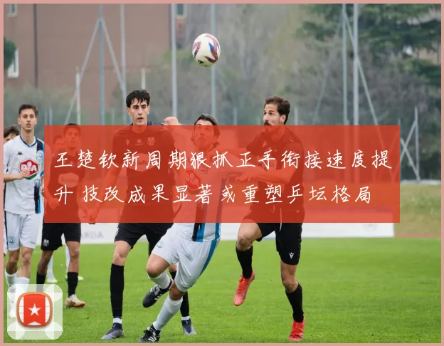 王楚钦新周期狠抓正手衔接速度提升 技改成果显著或重塑乒坛格局